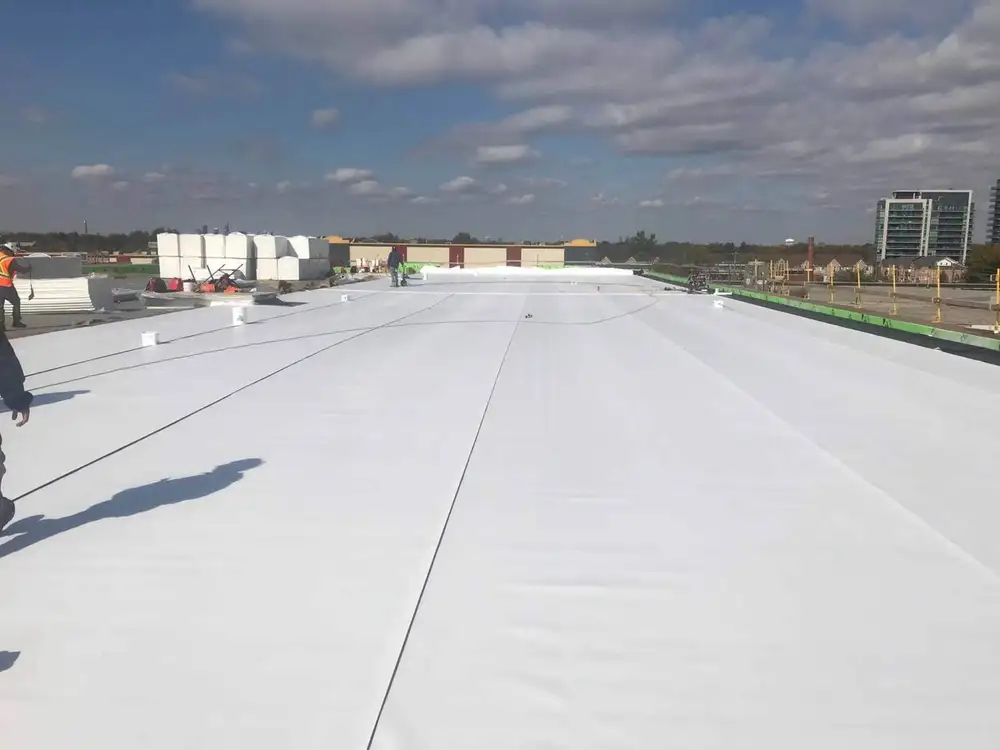Commercial Services project by Reid’s Roofing